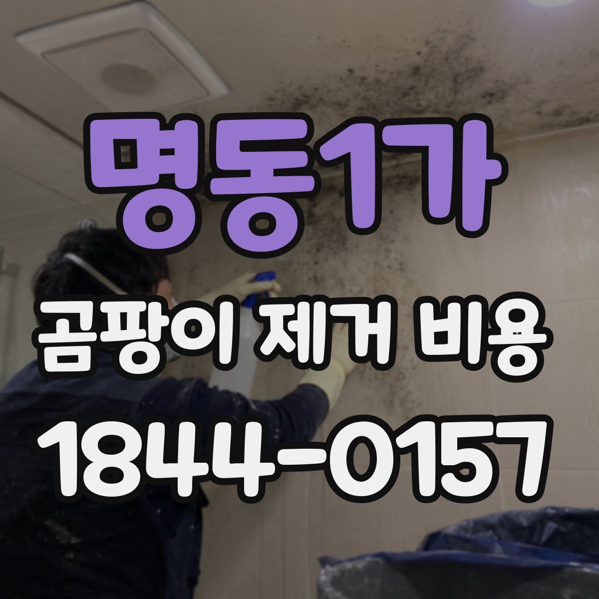 명동1가 곰팡이 제거 비용