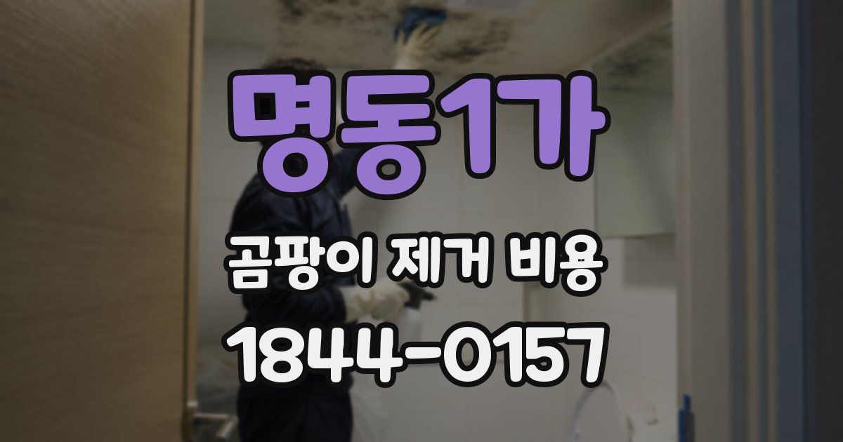 명동1가 곰팡이 제거 비용