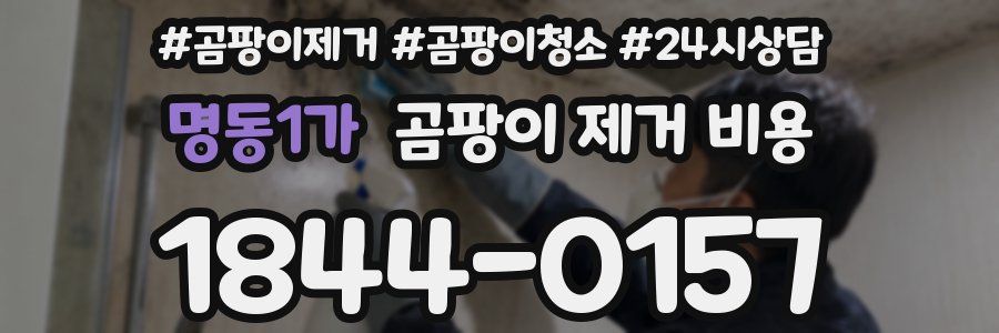 명동1가 곰팡이 제거 비용