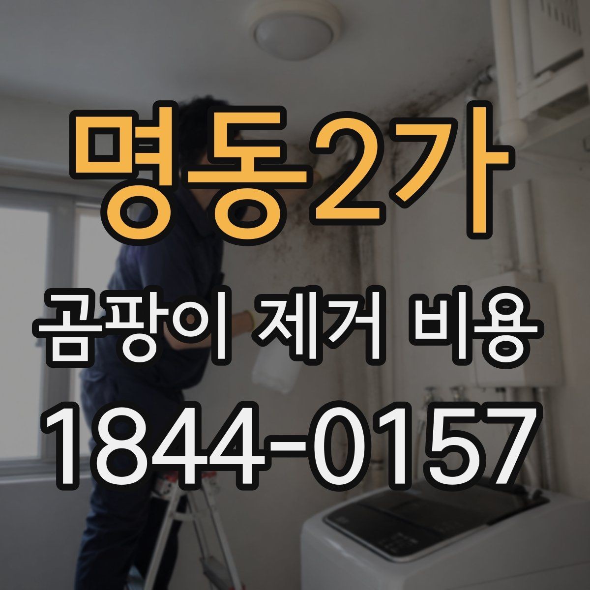 명동2가 곰팡이 제거 비용 줄눈 손상 여부가 견적에 미치는 영향