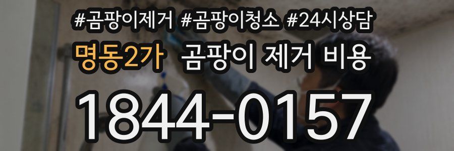 명동2가 곰팡이 제거 비용