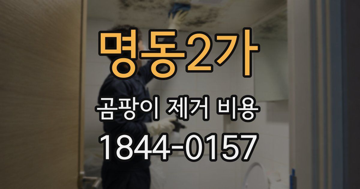 명동2가 곰팡이 제거 비용