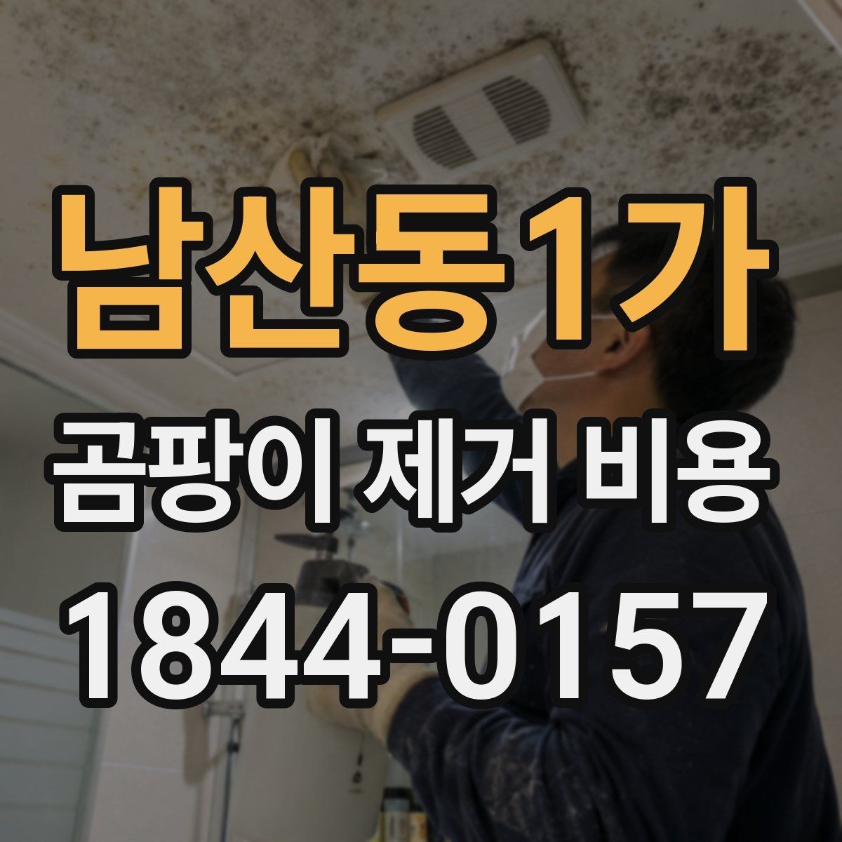 남산동1가 곰팡이 제거 비용 공동주택 공사 일정 잡는 법