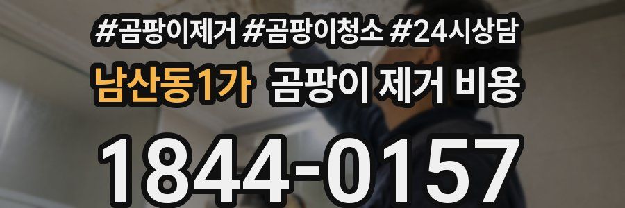 남산동1가 곰팡이 제거 비용