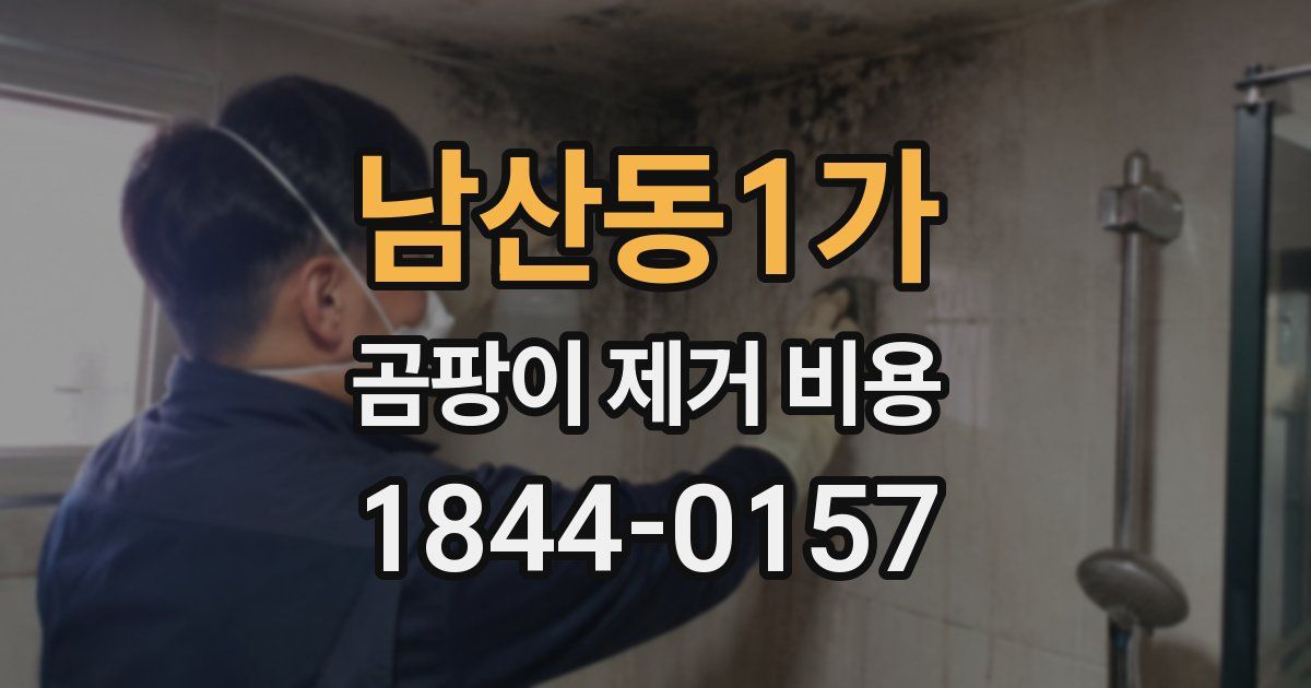 남산동1가 곰팡이 제거 비용