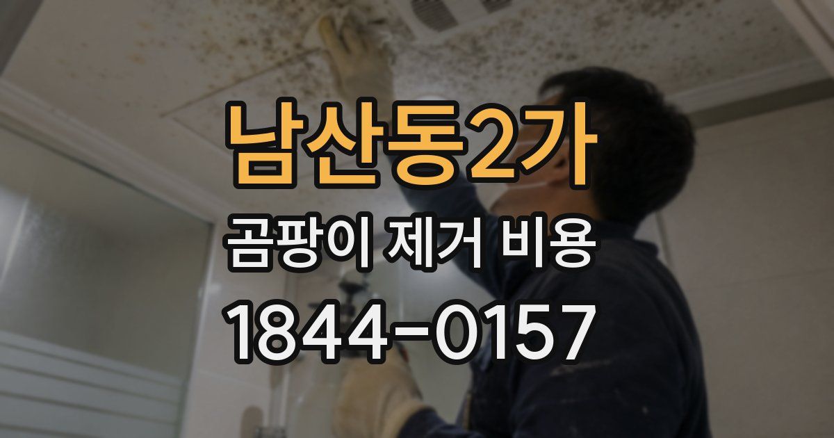 남산동2가 곰팡이 제거 비용
