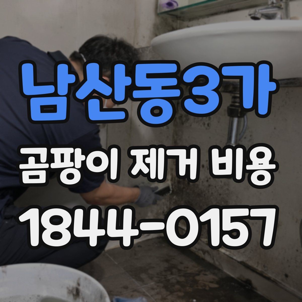 남산동3가 곰팡이 제거 비용 욕실 벽면과 천장 작업비 차이 살펴보기