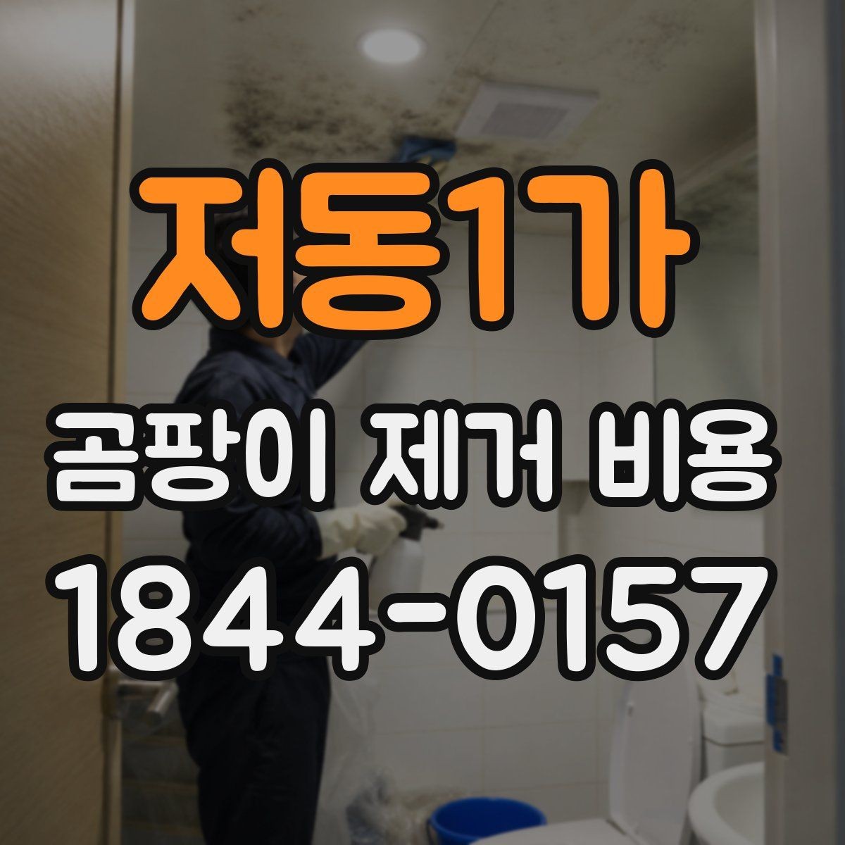 저동1가 곰팡이 제거 비용 벽면과 천장 작업비가 다른 이유