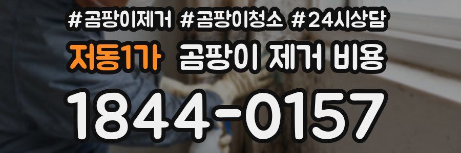 저동1가 곰팡이 제거 비용