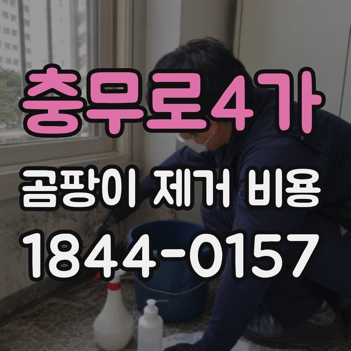 충무로4가 곰팡이 제거 비용 다세대 주택 공사에서 민원 적은 진행 방법