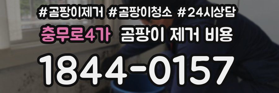 충무로4가 곰팡이 제거 비용