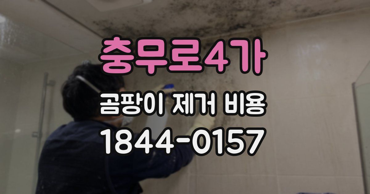충무로4가 곰팡이 제거 비용