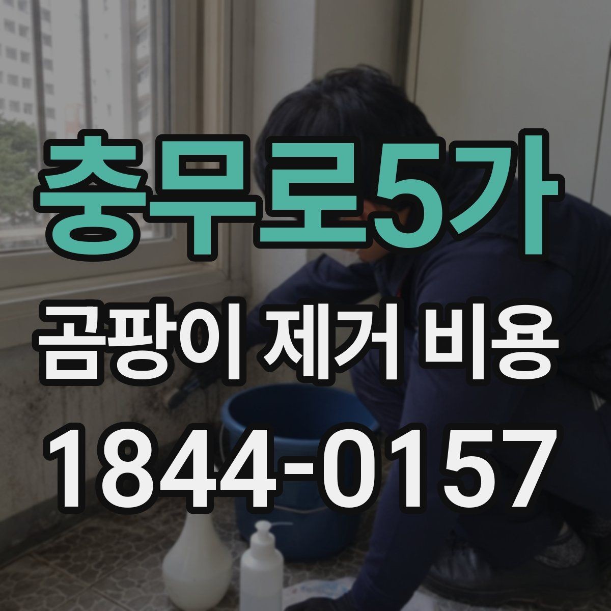 충무로5가 곰팡이 제거 비용 재발을 막으려면 어떤 점을 체크할까