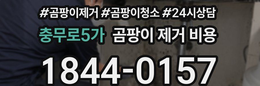 충무로5가 곰팡이 제거 비용