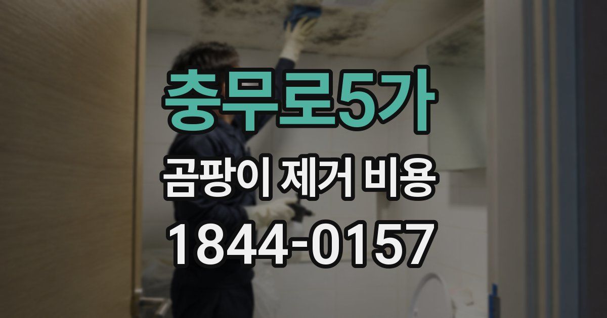 충무로5가 곰팡이 제거 비용
