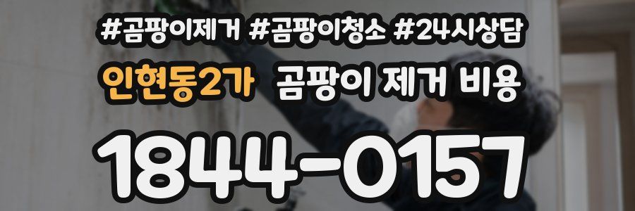 인현동2가 곰팡이 제거 비용