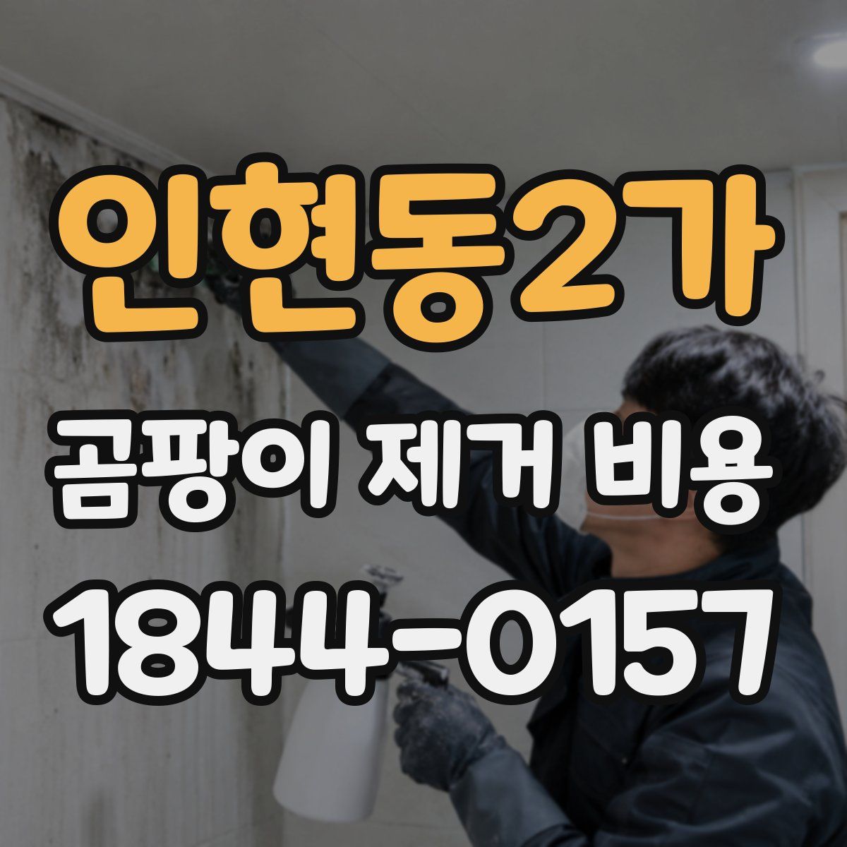 인현동2가 곰팡이 제거 비용