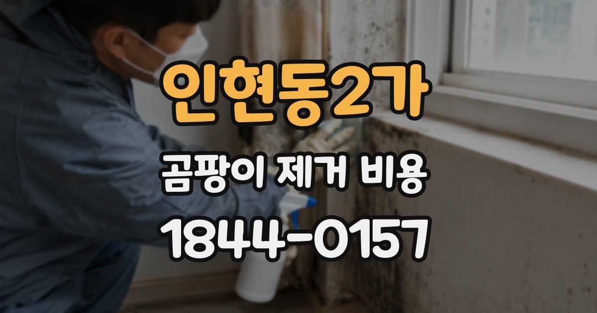인현동2가 곰팡이 제거 비용