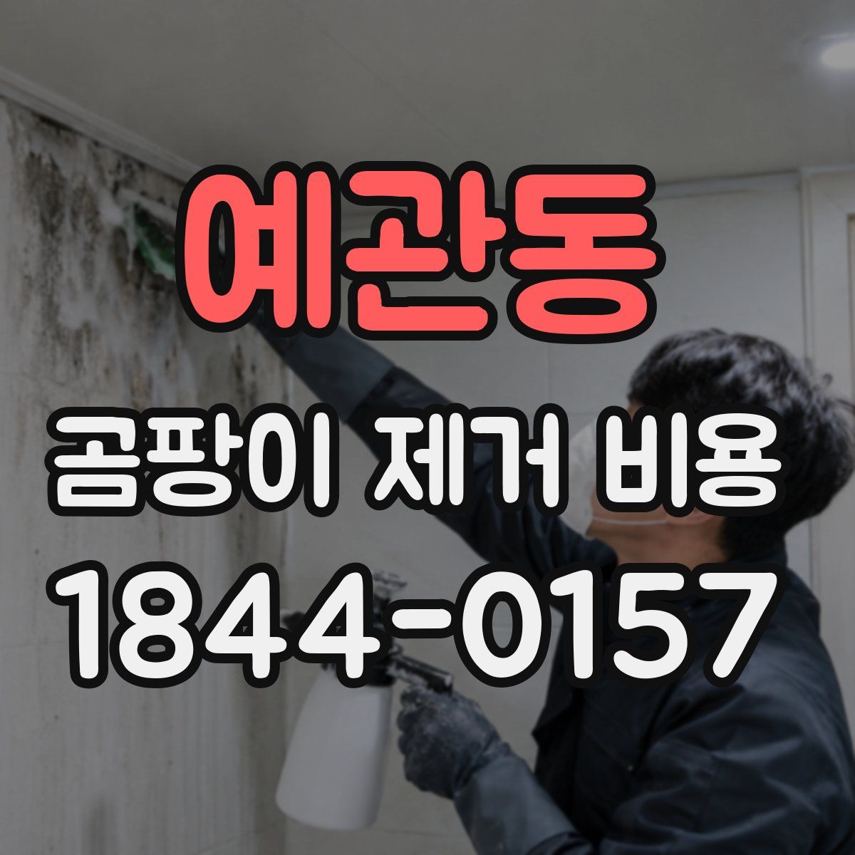 예관동 곰팡이 제거 비용