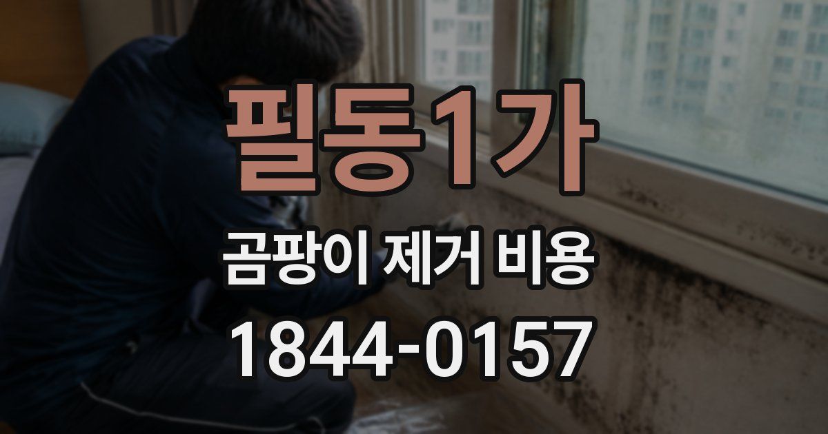 필동1가 곰팡이 제거 비용