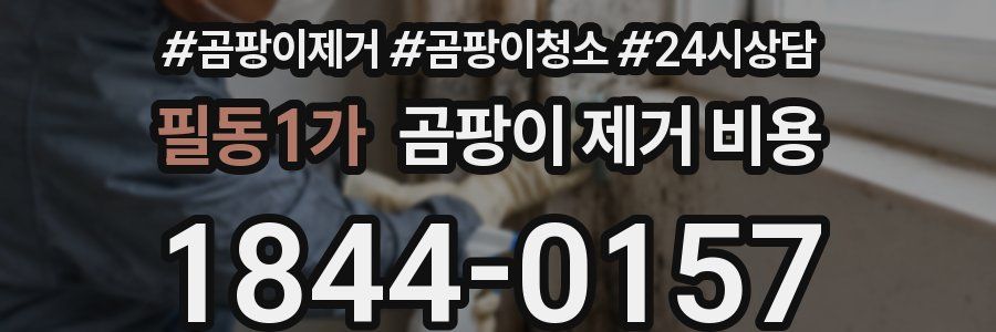 필동1가 곰팡이 제거 비용