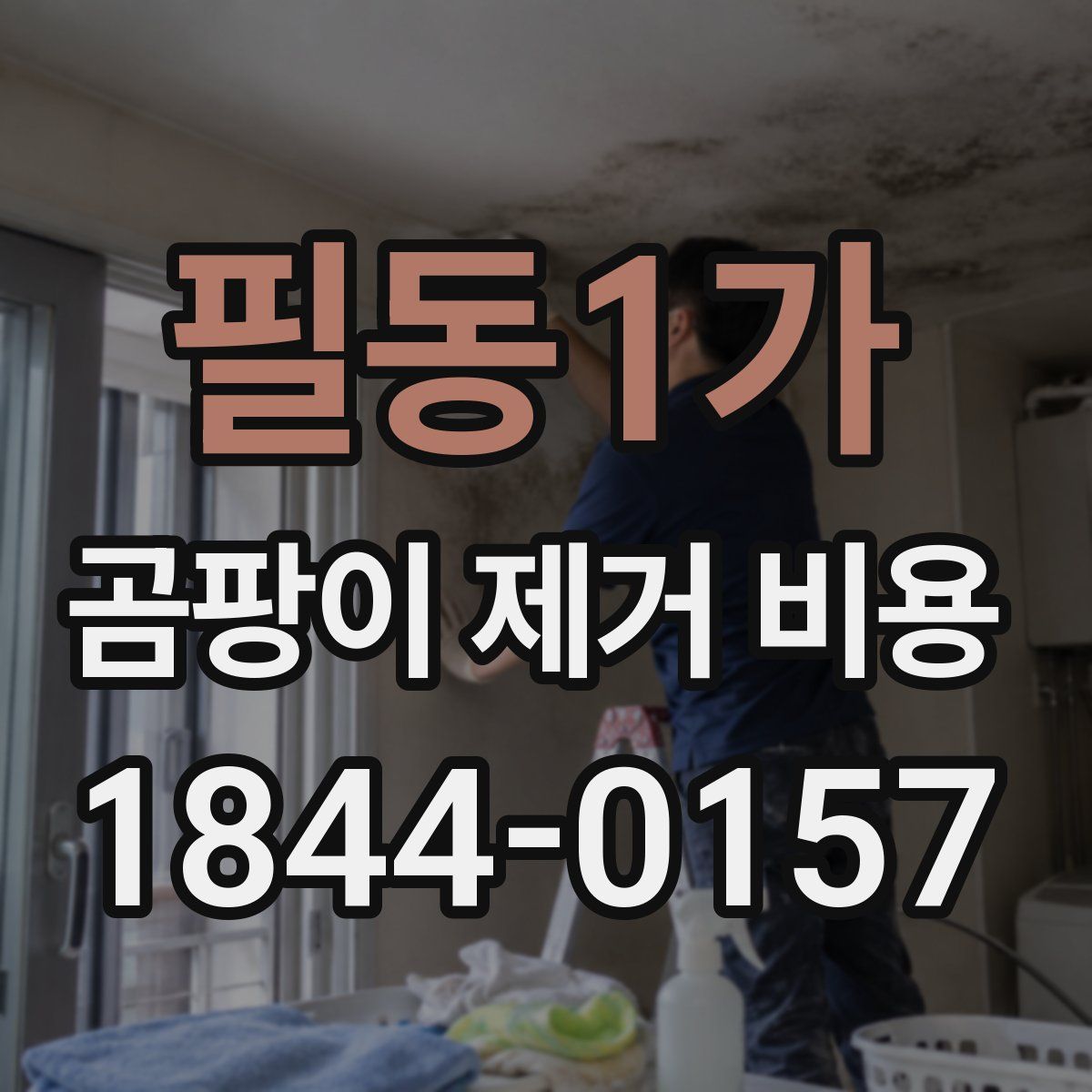 필동1가 곰팡이 제거 비용