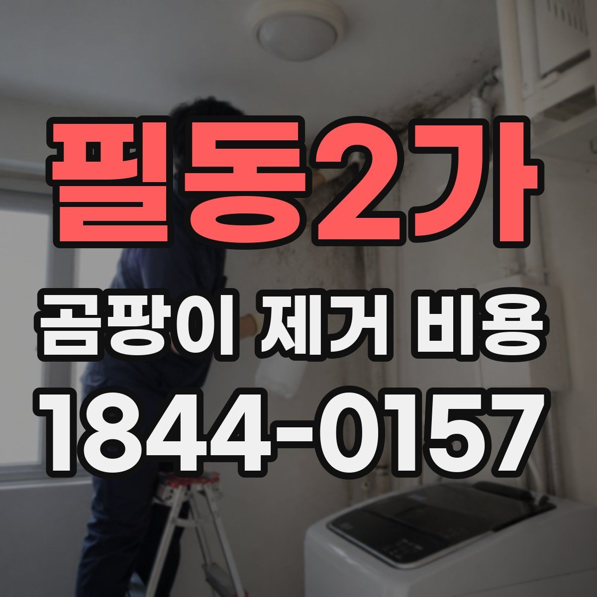 필동2가 곰팡이 제거 비용