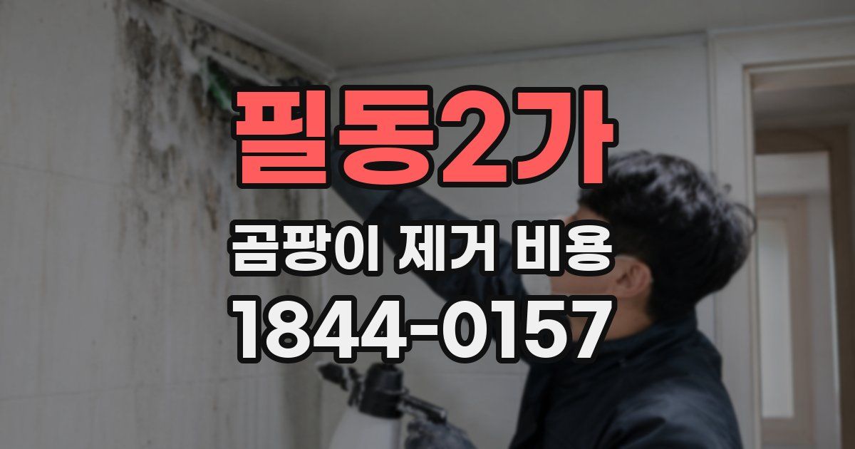 필동2가 곰팡이 제거 비용
