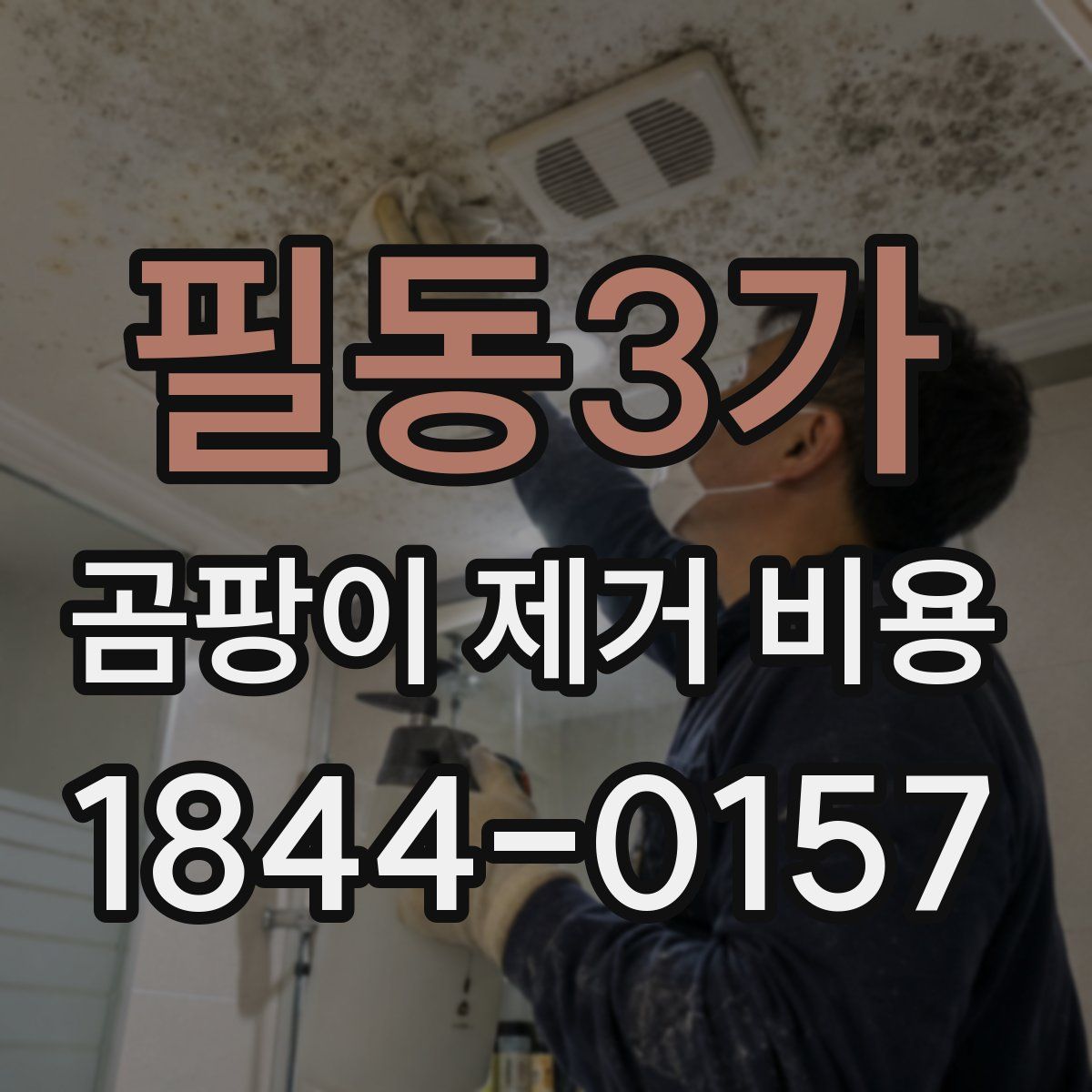 필동3가 곰팡이 제거 비용