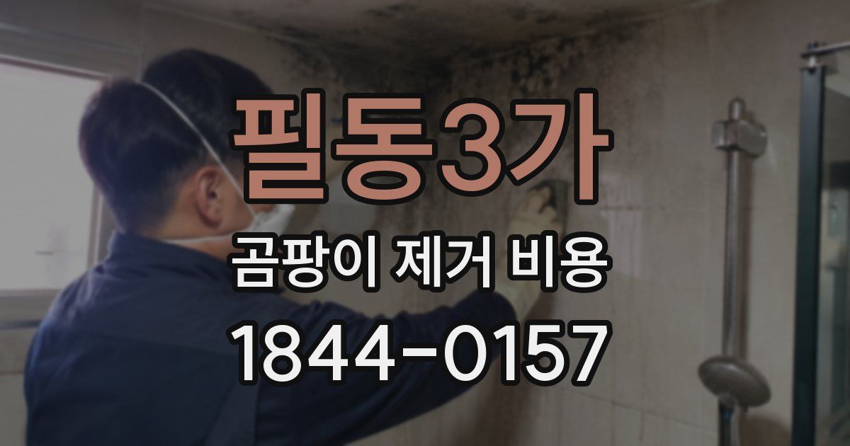 필동3가 곰팡이 제거 비용