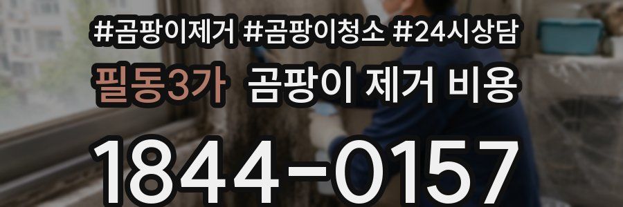 필동3가 곰팡이 제거 비용