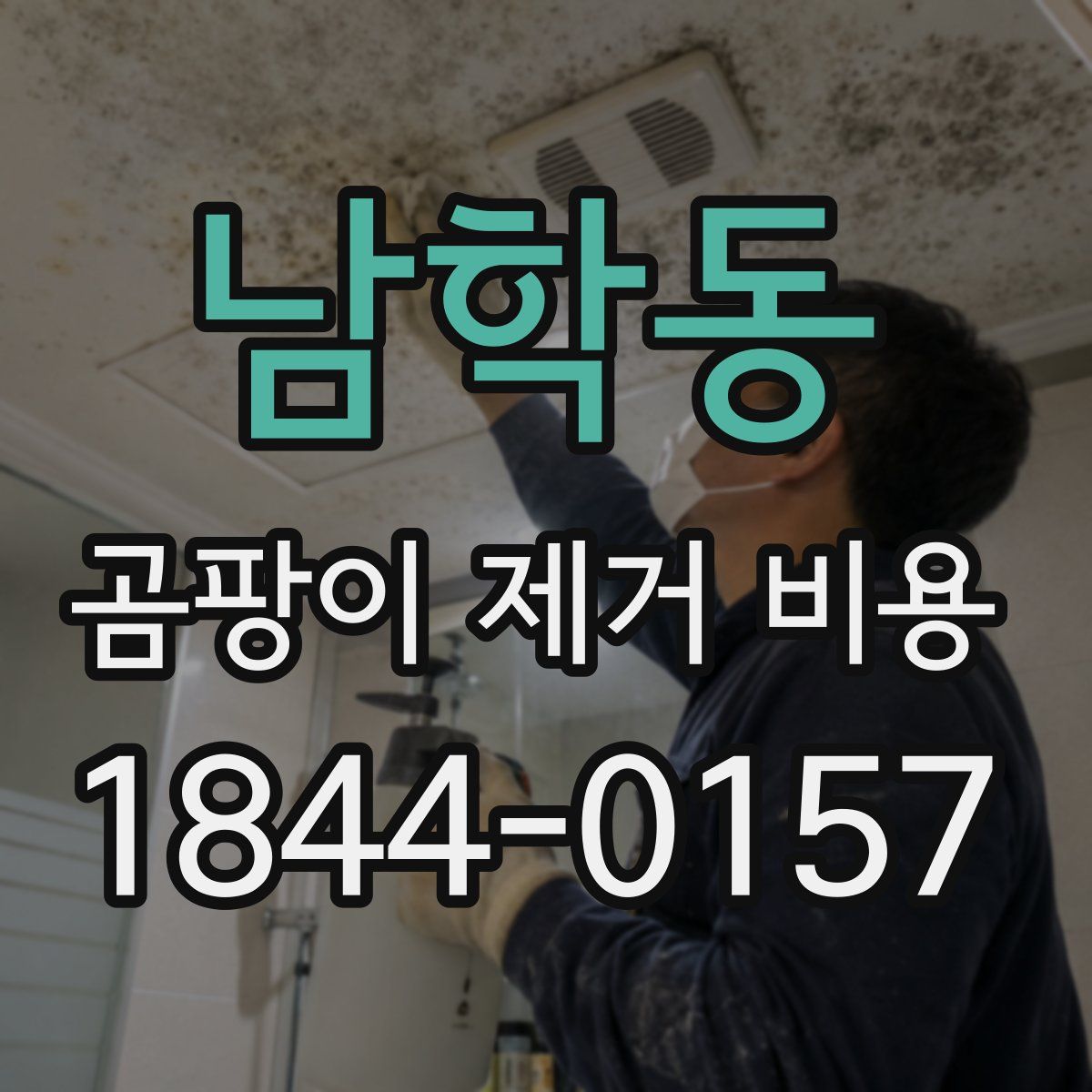 남학동 곰팡이 제거 비용