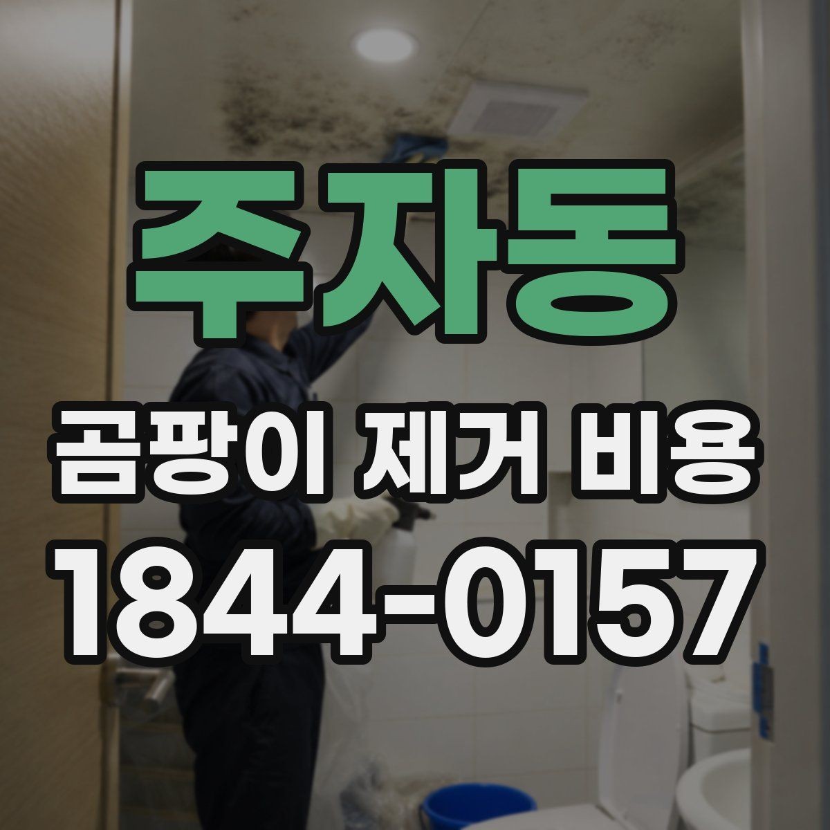 주자동 곰팡이 제거 비용 재발 가능성까지 점검하는 방법