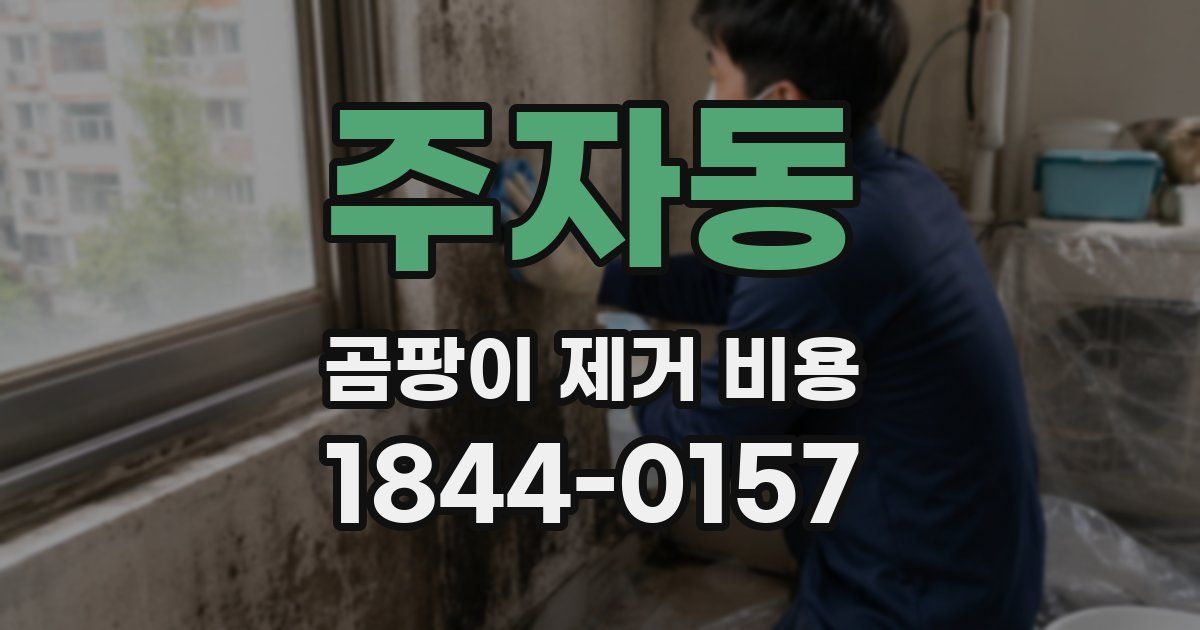 주자동 곰팡이 제거 비용