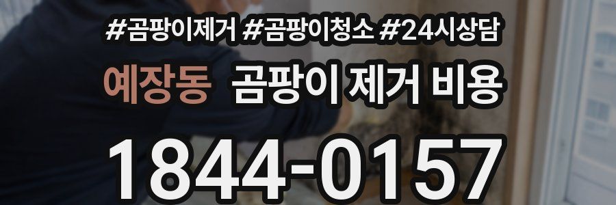 예장동 곰팡이 제거 비용