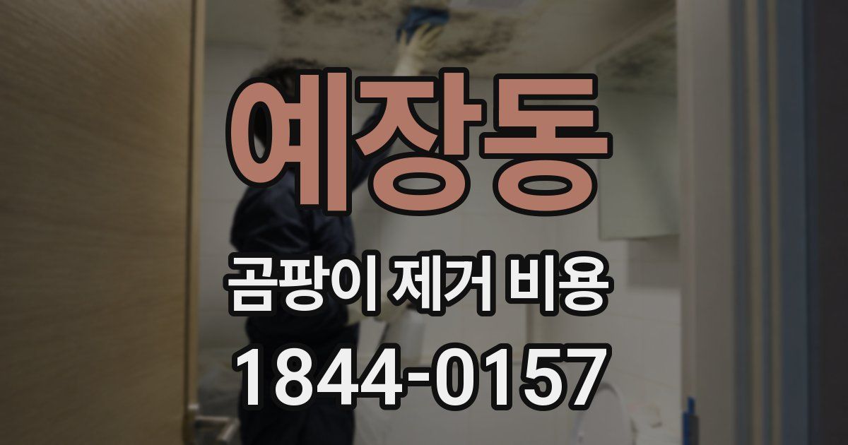 예장동 곰팡이 제거 비용