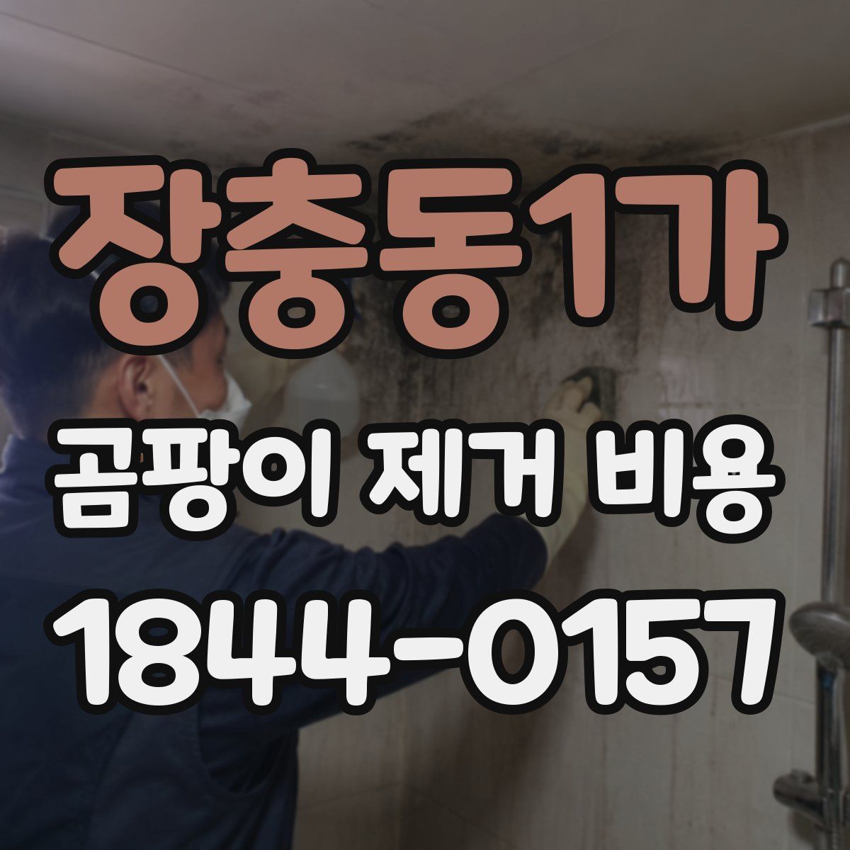 장충동1가 곰팡이 제거 비용