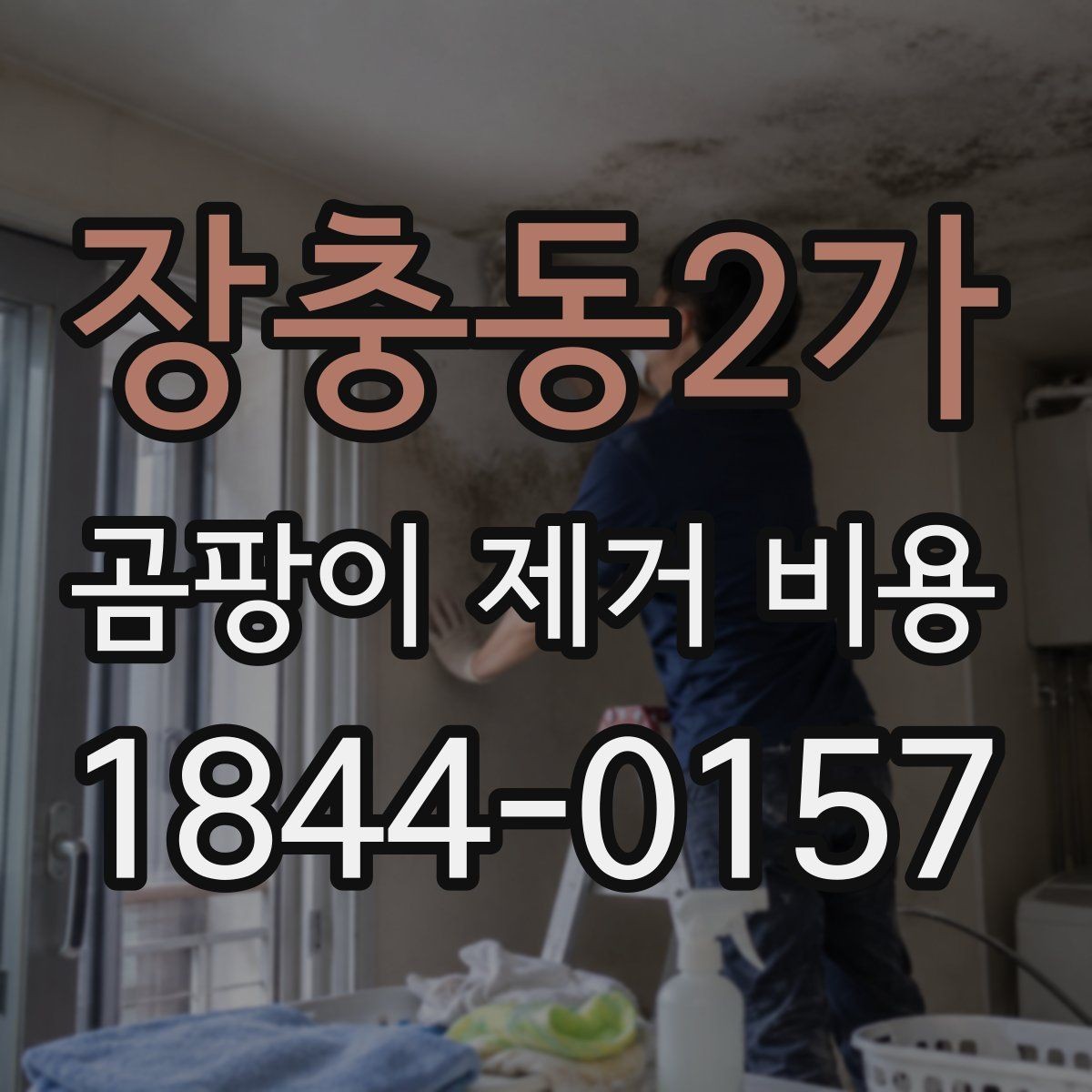 장충동2가 곰팡이 제거 비용 벽지 뜯음 여부가 금액에 미치는 영향