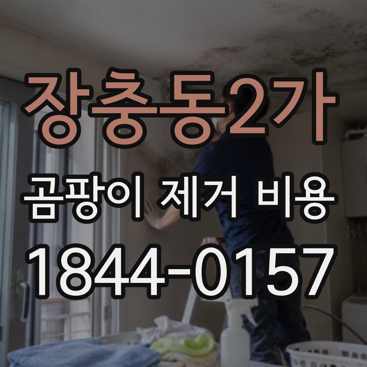 장충동2가 곰팡이 제거 비용