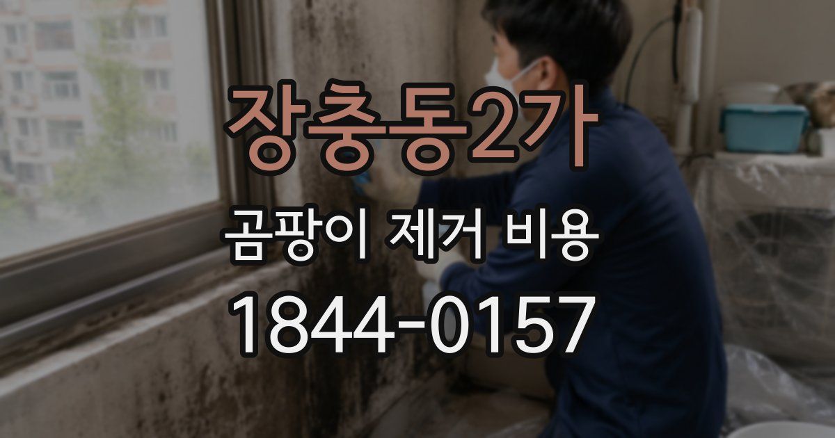 장충동2가 곰팡이 제거 비용