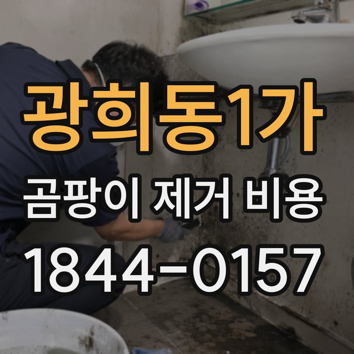 광희동1가 곰팡이 제거 비용