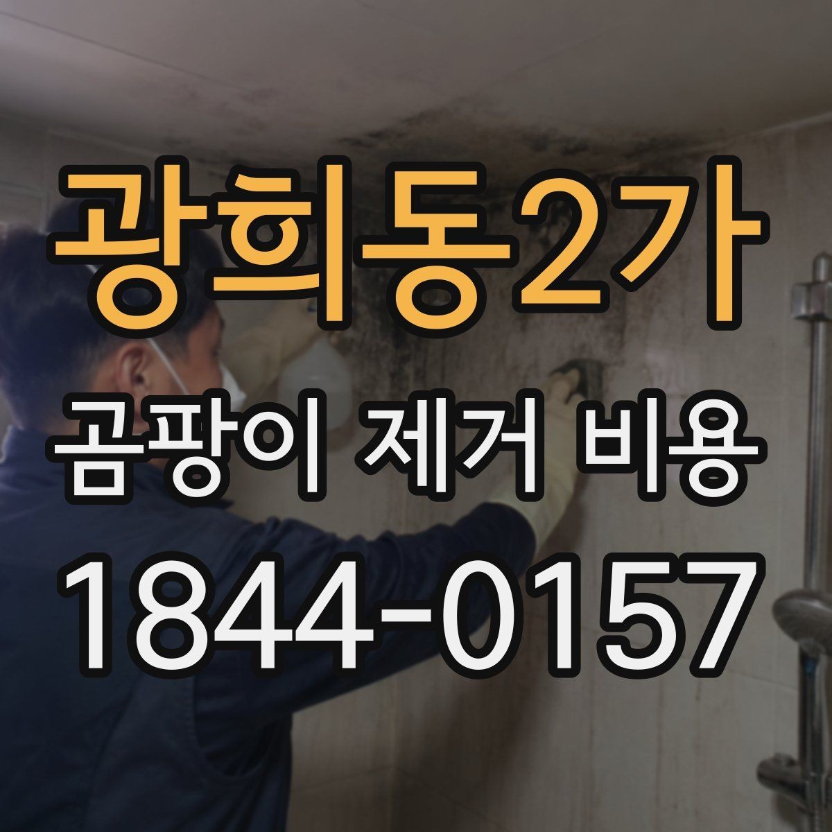 광희동2가 곰팡이 제거 비용 약품 종류와 작업 강도가 달라지는 상황