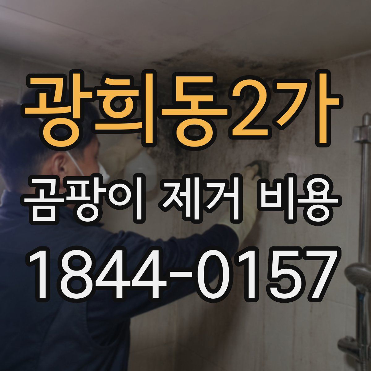 광희동2가 곰팡이 제거 비용