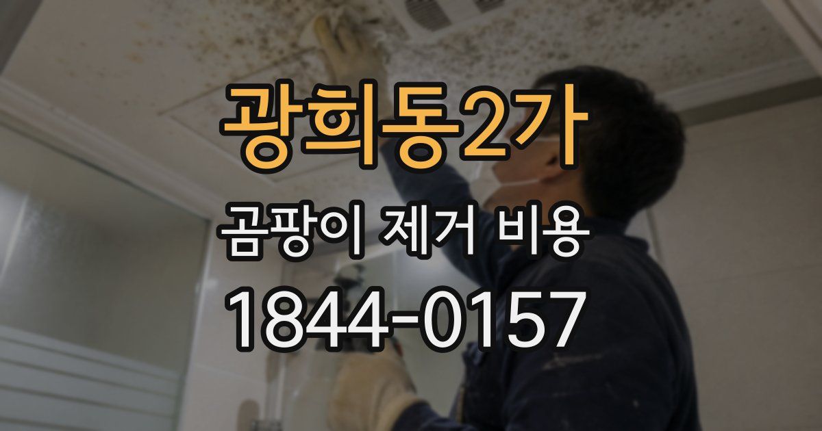광희동2가 곰팡이 제거 비용