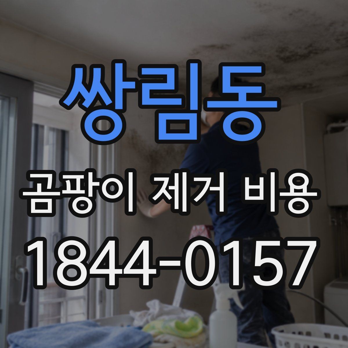 쌍림동 곰팡이 제거 비용 벽면과 천장 중 작업비가 다른 경우