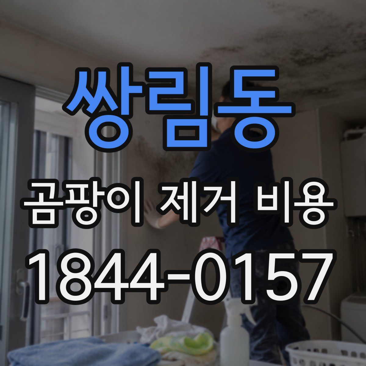쌍림동 곰팡이 제거 비용