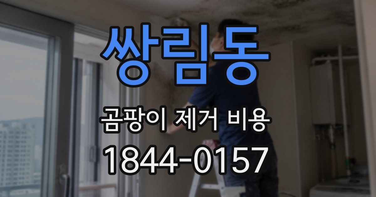 쌍림동 곰팡이 제거 비용