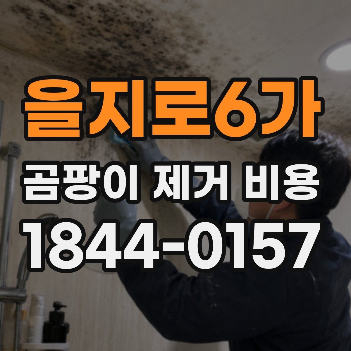 을지로6가 곰팡이 제거 비용 외벽 균열과 실내 오염이 함께 보일 때