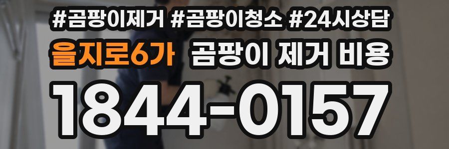 을지로6가 곰팡이 제거 비용