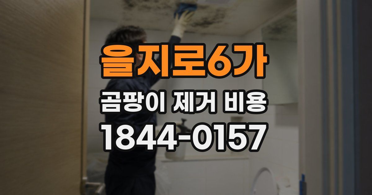 을지로6가 곰팡이 제거 비용